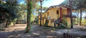 Comfortable apartment for 5 guests in Rosolina
